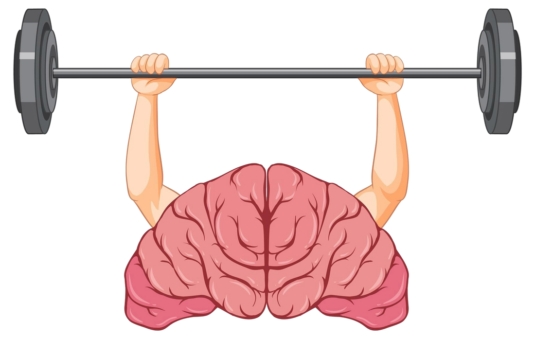 You Are Not Building A Habit. You Are Training Your Nervous System To Anticipate Safety.