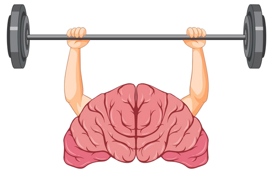 You Are Not Building A Habit. You Are Training Your Nervous System To Anticipate Safety.
