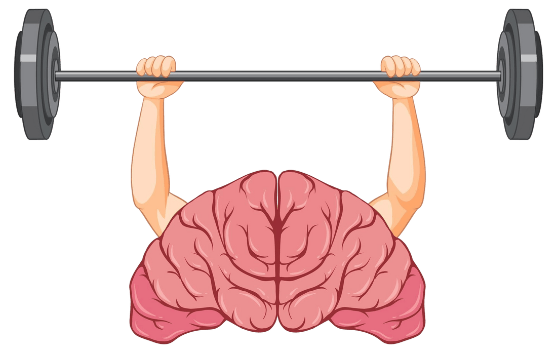 How a Consistent Evening Routine Can Reduce Mental Friction - Evening Serenity
