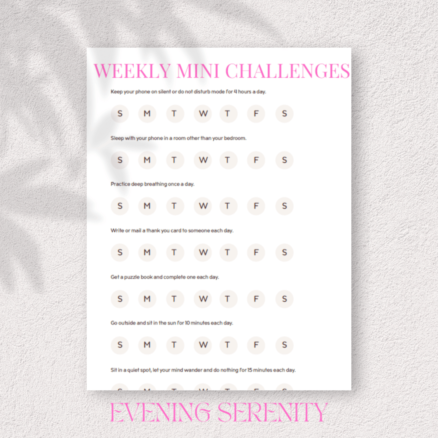 THE CALM MIND RESET: A Complete Anxiety & Stress Relief Journal - Evening Serenity