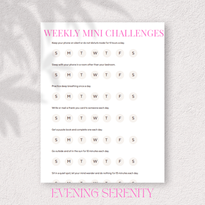 THE CALM MIND RESET: A Complete Anxiety & Stress Relief Journal - Evening Serenity
